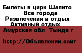 Билеты в цирк Шапито. - Все города Развлечения и отдых » Активный отдых   . Амурская обл.,Тында г.